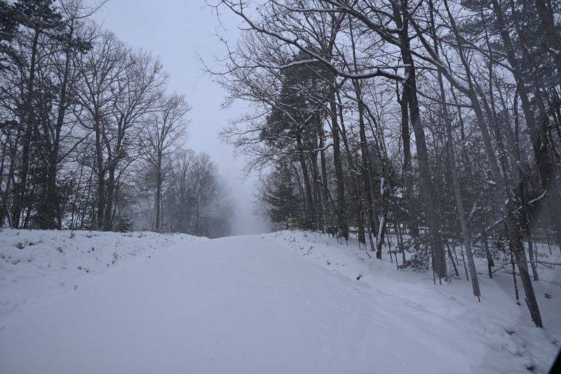 DSC_0219.JPG